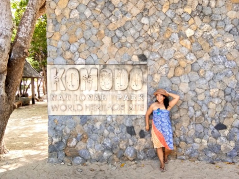 Pulau Komodo